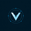 VAPN Mobile Engineer logo